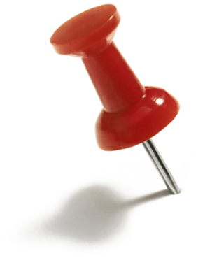 Pin